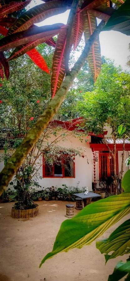 Ella Jungle Inn Homestay And Tree House Dış mekan fotoğraf