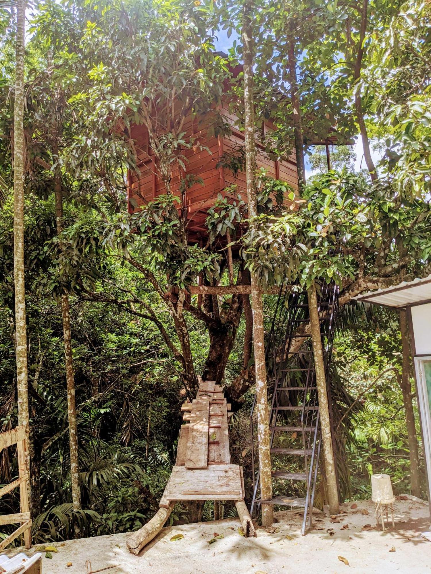 Ella Jungle Inn Homestay And Tree House Dış mekan fotoğraf