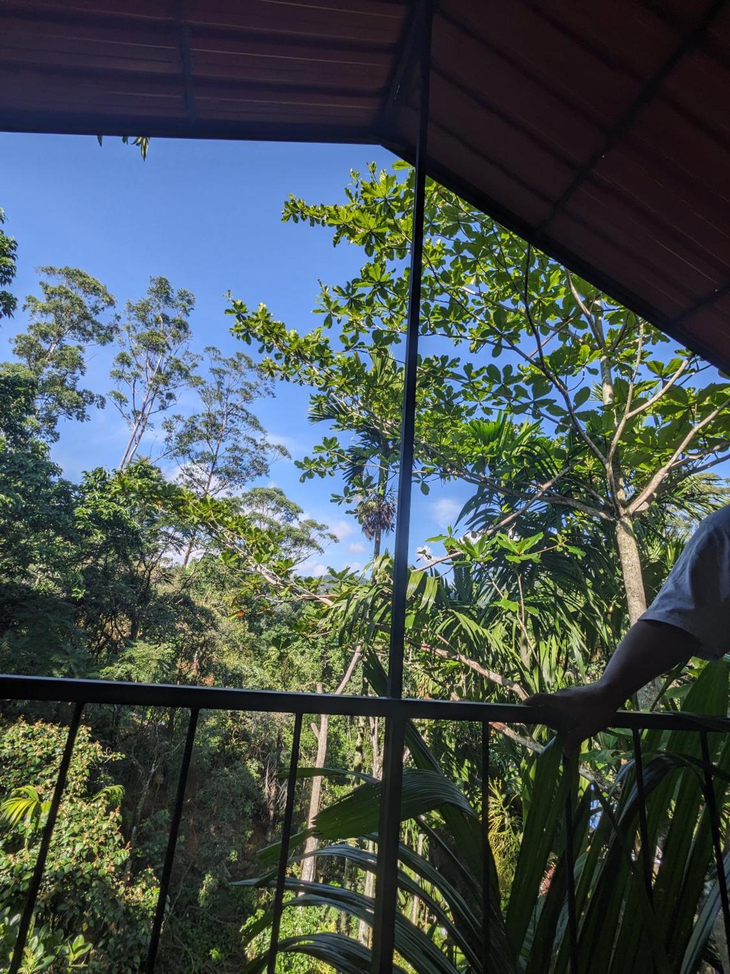 Ella Jungle Inn Homestay And Tree House Dış mekan fotoğraf