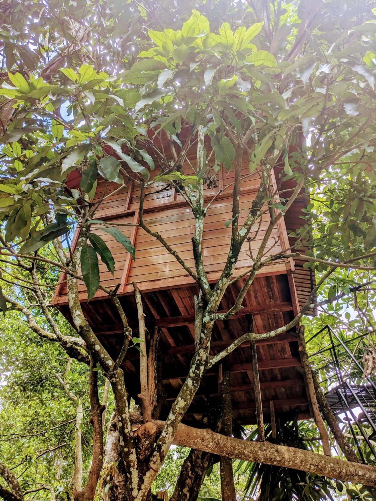 Ella Jungle Inn Homestay And Tree House Dış mekan fotoğraf
