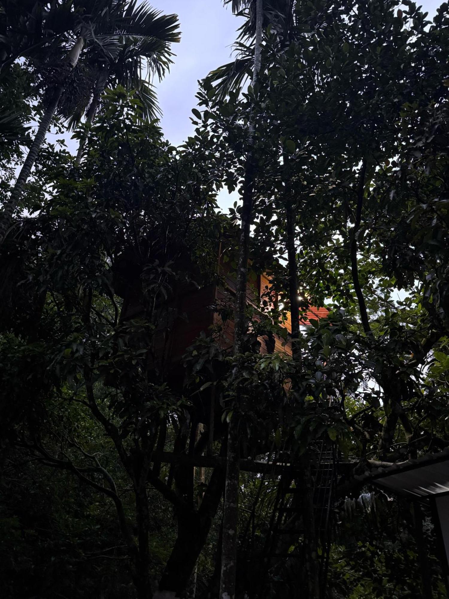 Ella Jungle Inn Homestay And Tree House Dış mekan fotoğraf
