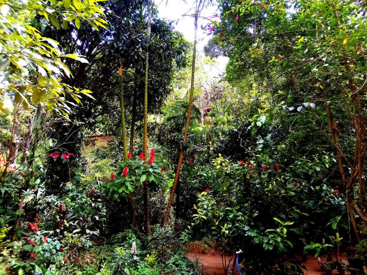 Ella Jungle Inn Homestay And Tree House Dış mekan fotoğraf