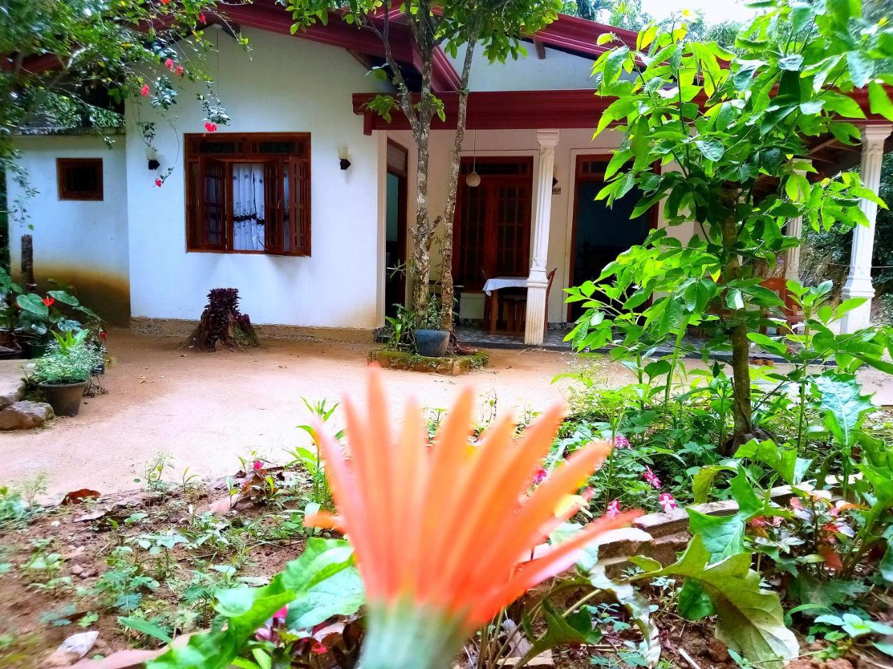 Ella Jungle Inn Homestay And Tree House Dış mekan fotoğraf
