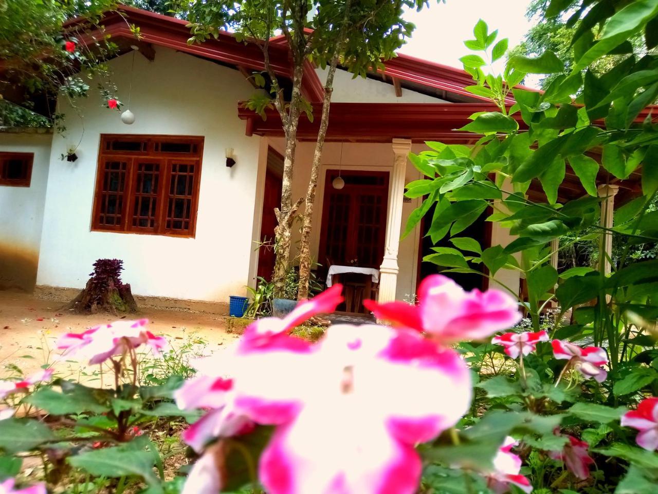 Ella Jungle Inn Homestay And Tree House Dış mekan fotoğraf