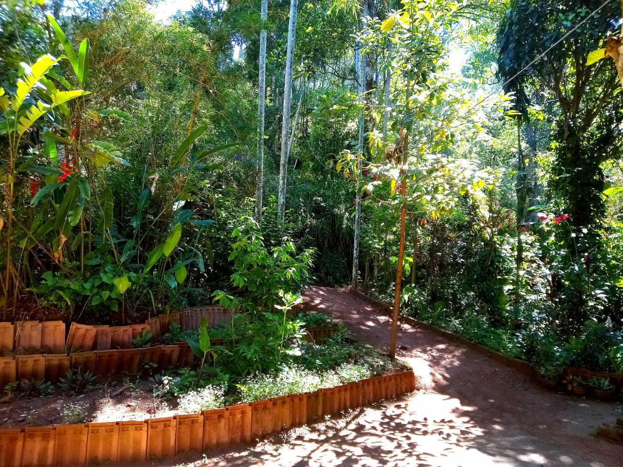 Ella Jungle Inn Homestay And Tree House Dış mekan fotoğraf