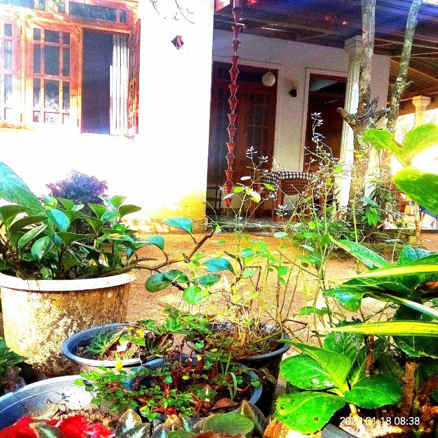 Ella Jungle Inn Homestay And Tree House Dış mekan fotoğraf